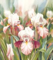 Iris Summer by Darryl Trott