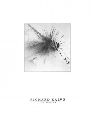 Winter Celebration by Richard Calvo