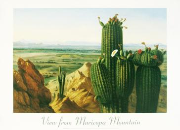 View from Maricopa Mountain near the Rio Gila 1855