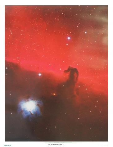The Horsehead Nebula by David Malin