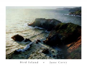 Bird Island by June Carey
