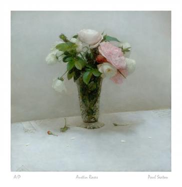 Austin Roses by Paul Seaton