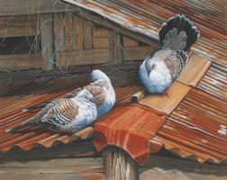Pigeon Harmony by Lyn Ellison