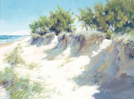 Shadow On The Dunes by Raelean Hall