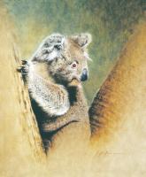 Koala by Krystii Melaine