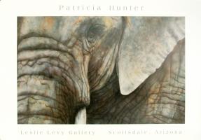 Elephant Face by Patricia Hunter