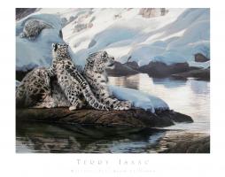 Watchful Eye - Snow Leopards by Terry Isaac