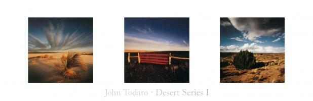 Desert Series 1 by John Todaro
