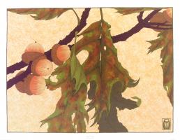 Pin Oak by Anita Munman