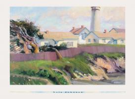 Pigeon Point 1 by Lois Johnson