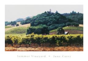 Summer Vineyard by June Carey