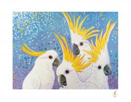 Sulphur Crested Cockatoos by DI Skelly Heron