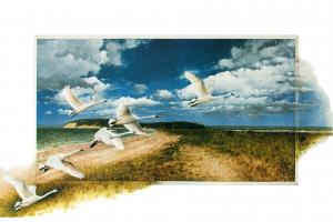 Swans by Vito De Vito