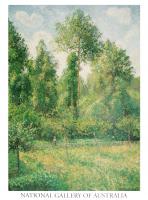 Poplars, Eragny, 1895 by Camille Pissarro