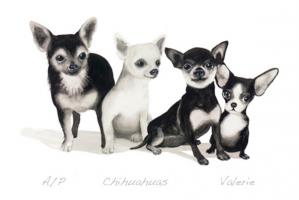 Chihuahuas by Valerie