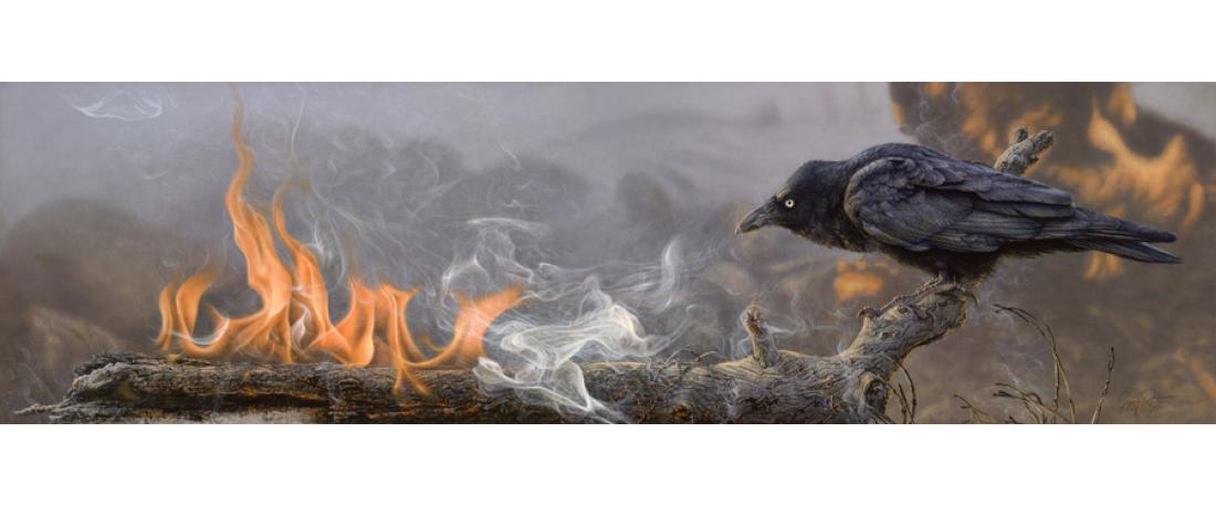 Fire Stick by Greg Postle